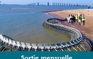Inscription sortie mensuelle du vendredi 27 mars sur la côte de Jade